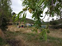 2014-05-24 17.15.41  ø;    K       Ë  ï  »    4xV4xV4xV4      0 ` \´ è      ÿÿºÃ                              ýý                                                                                                                                                                                                                  C A L ZKFI07    Cur.ZKFJ03CML 018001001509FD120109010B010D010D01240967ï )Yë&#38;      T U N A   ÐË 7!    Ó &#34; ØUÿÿ  ÕÿÿÔK +ßÿÿ   (Uÿÿ8   FLFL SVN# g	                                                                                                                   ®    ÐË 	 W	Z	                         tèt                                                   ª             	 &#34;ôÿ   8                                                                                                                                                                                                                                                               JKJK\    ?t    Â    B
     Ë              8!    ó 7!    Ó &#34; ØUÿÿ  ÕÿÿÔK +ßÿÿ   (Uÿÿ8 JKJK1&#34; 1&#34;   &#34; &#34;   !&#34; 2w 2w 2w 2w 1&#34; 2w     1&#34;   &#34; &#34; &#34; !&#34; 2w 2w !&#34;     !&#34;   1&#34; 1&#34; 2w   &#34; &#34; &#34;   2w 2w 2w  &#34;  A&#34;   A&#34; 2w   &#34; &#34;     A&#34; 1&#34; !&#34; 1&#34; &#34;  1&#34; 2w  Bw 2w !&#34;            2w      2w   Bw 2w 2w 2w !&#34;      2w &#34;         	  Bw 2w 2w !&#34;     !&#34;           	 	 Q3 2w Bw 2w 2w 1&#34; 1&#34; &#34;w        	 	 `   Q3 A&#34; Q3 A&#34;  1&#34; 2w 2w 1&#34; 2w  	  	 A&#34; `   R   P3 `   Q3 Bw 2w 2w !&#34; 1&#34; A&#34;  	 	 P3 Q3 R   `   b   R   R   `   Bw Bw Bw 2w Bw Q3 Q3 `   `   Q3 Bw Bw Bw Q3 R   Bw Bw Bw Bw 2w R   Q3 Q3 Q3 `   Q3 Q3 Q3 Q3 Q3 A&#34; Bw Bw Bw 2w 2w Bw Q3 Q3 `   A&#34; Q3 Q3 Q3 `   `   Q3 Bw R   Bw 2w 2w A&#34; 2w 2w Bw Bw  	  `   `   Q3 R   Q3 R   A&#34; Bw A&#34; 2w A&#34; A&#34; 2w Bw Q3 	 `   `   `   Q3 Q3 Q3 Q3 Q3 `   Q3 A&#34; Bw JKJKÒ0 öÿ  Î 05    ¨ Öâ úÿ  hý                                     n    Õ¨ Öí ÿÿ  Î                         ! õÿ   !! õÿ  á !! õÿ  á !! õÿ  á             ¨ ôH $                                                                                                                                                                                                                                                                     ýAFAFô    ô    Ü ß4Ü Ë¶Ä ÀÄ ¹¬ þä¬ = £ ¤    ¤    « Jù« ë¯² ^S² ù¹ DÉ¹ ¼¯ ÿ:¯	 ¯ }?¯	 ×y    y    y    y    y    y    y    y    y    y    y    y    y    y    y    y    y    y          AFAF ­ZK0 ¯AFAFä                                                                                                                                                                                                                                                                                                                                       Þ°ô                X  ¤x R¼ )Þ )Þ s s \&#38;ºÆ³  6nÖ   Ö                                                                                                                                                                                                                                                                                                                                                                                                                                                                                                                                                                                                                                                                                                                                                                                                           Ø   Ú   Ü   Þ   ÎFßWðÞ¼X§8 4 M¢  @ó;ÿ